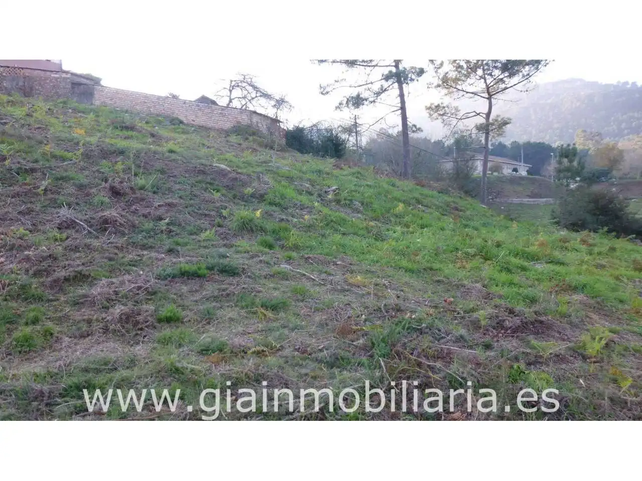 Terreno rústico en venta en Calle REBORDANES, imagen 2