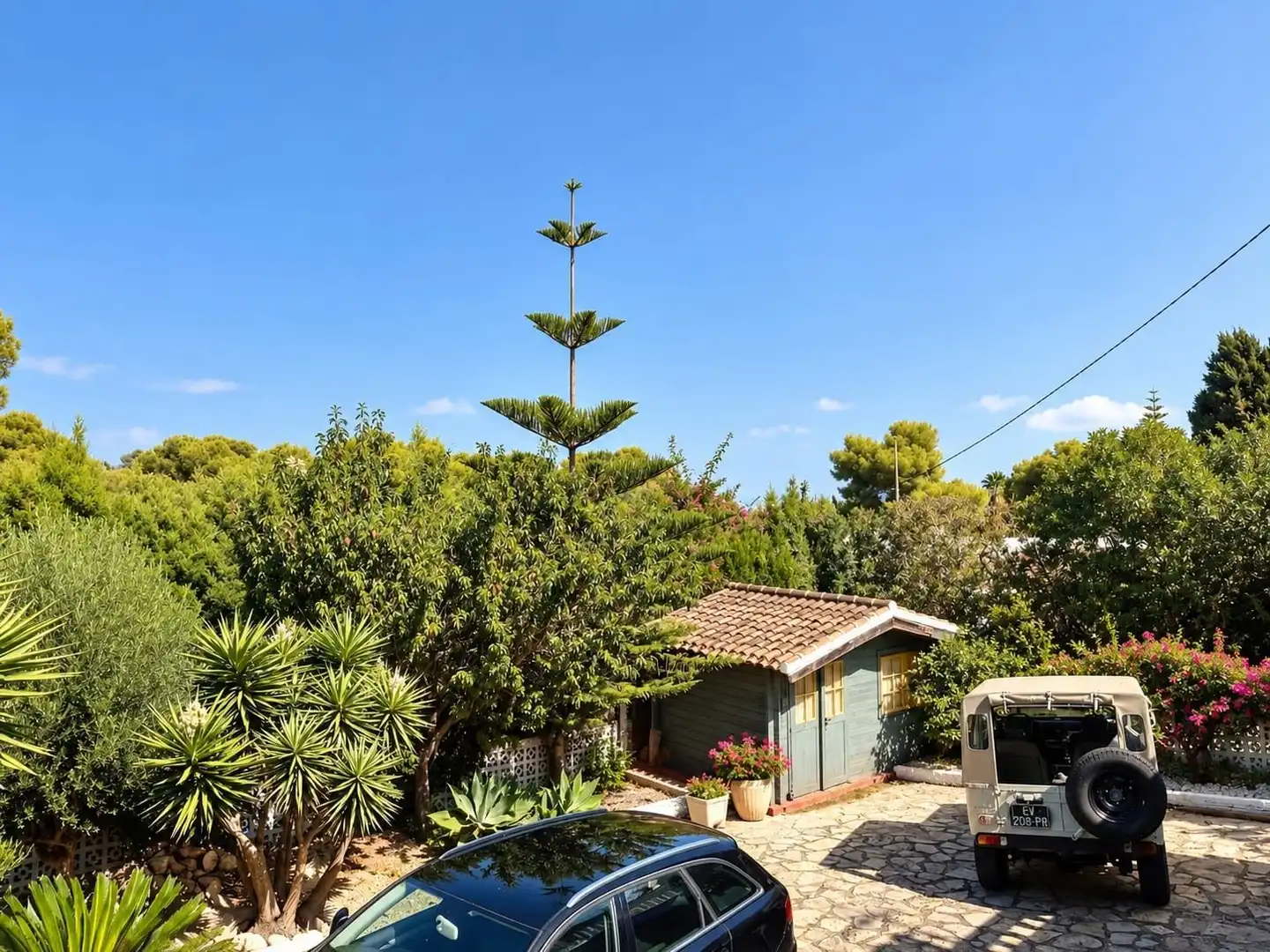 Vista exterior de Casa o xalet en venda en Cap Martí - El Tossalet - Pinomar