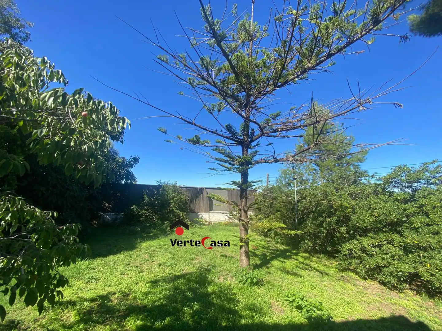 Chalet en venta en Las Mimosas, imagen 40