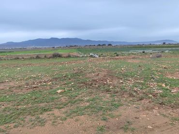 Terreno rustico in vendita a Totana