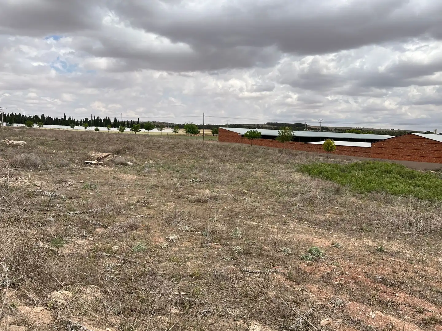 Residencial en venta en Calle Concepción, 19, Campo de Criptana