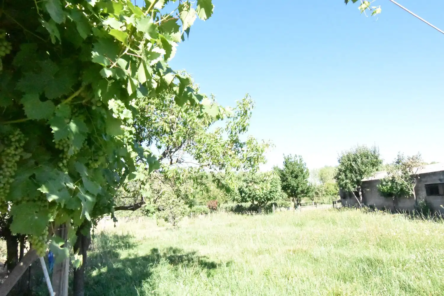 Finca rústica en venta en Ciudad Rodrigo