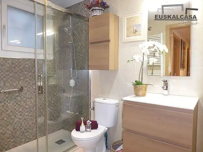 Bathroom of Flat for sale in Errekalde
