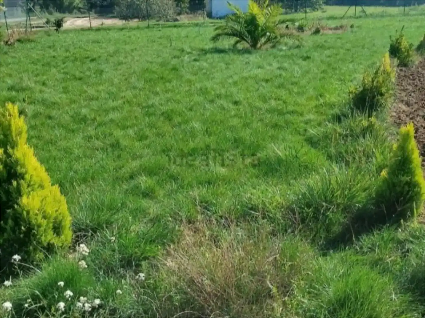 Land for sale in Lerín