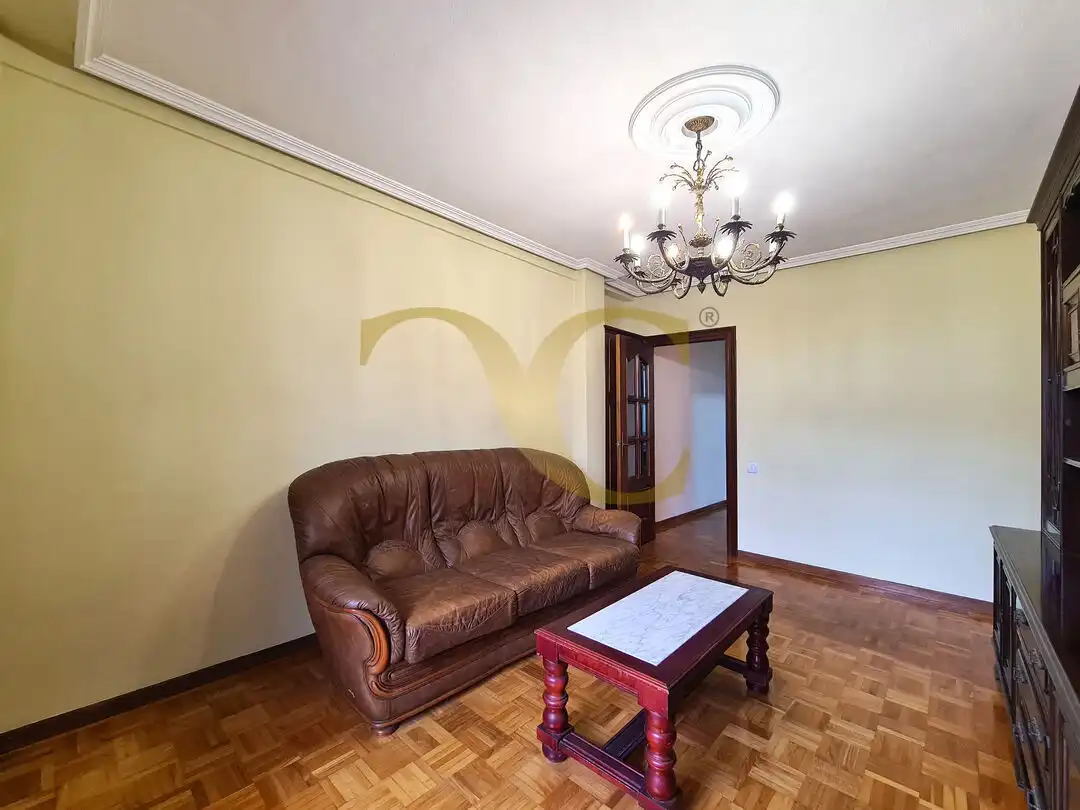 Sala de estar de Piso en venta en Oviedo  con Terraza