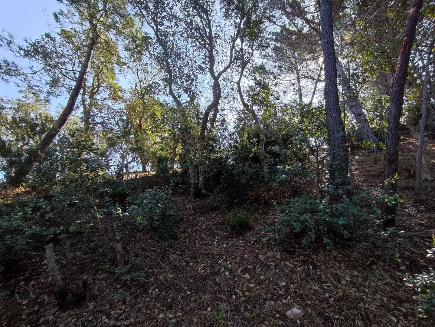 Terreno residencial en venta en Carrer dels Pirineus, imagen 12