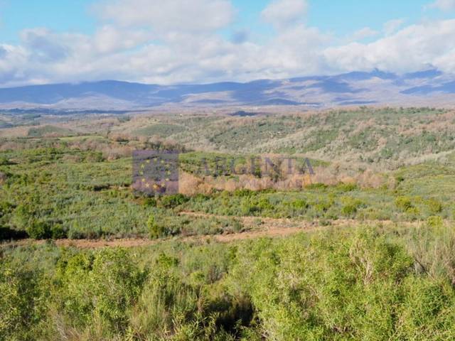 Casa-chalet en Venta en Casatejada