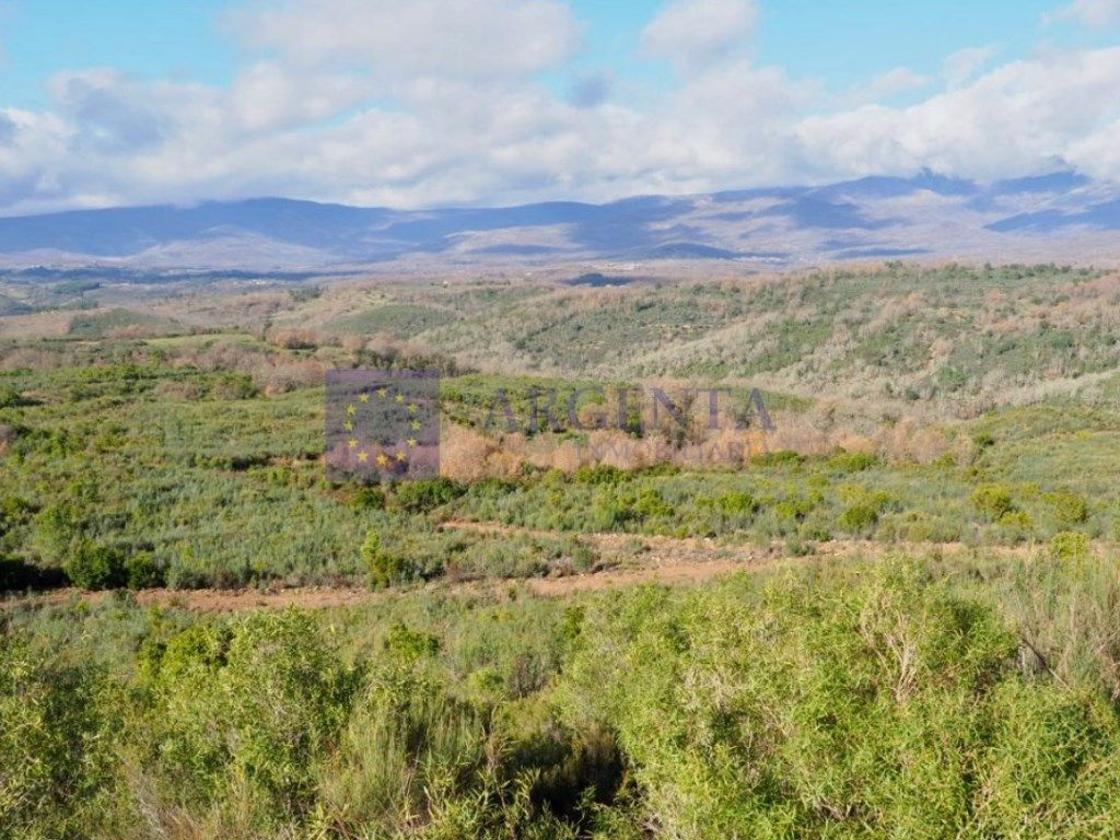 Casa o xalet en venda en Casatejada
