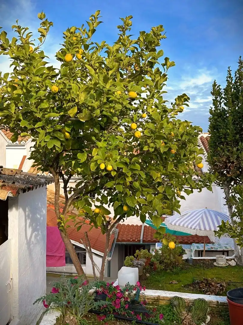Adossat en venda a Archidona, imagen 2