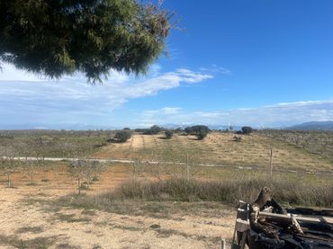 Terreno rustico in vendita a Camino de la Sierra