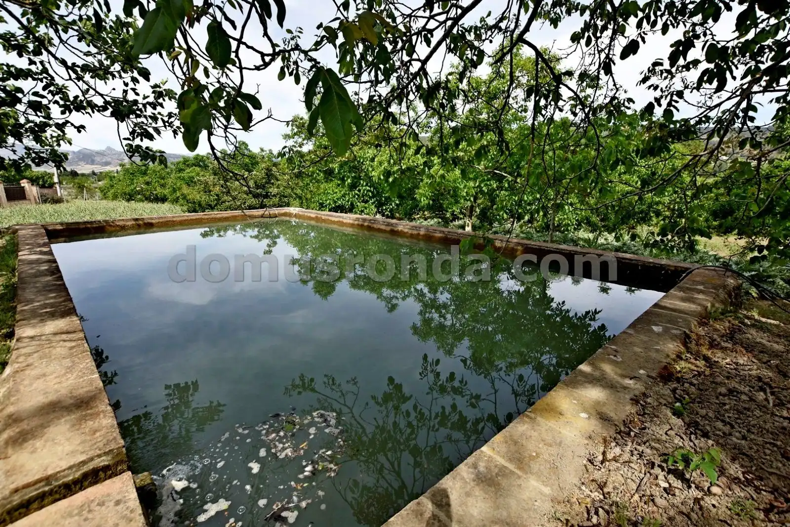 Swimming pool of Country homes for sale in Ronda  with Terrace, Storage room and Swimming Pool