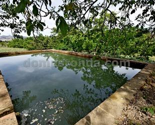 Swimming pool of Country house for sale in Ronda  with Terrace, Swimming Pool and Balcony