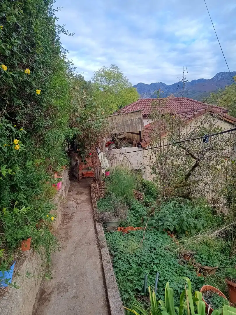 Jardí de Casa o xalet en venda en Laviana amb Calefacció, Jardí privat i Moblat