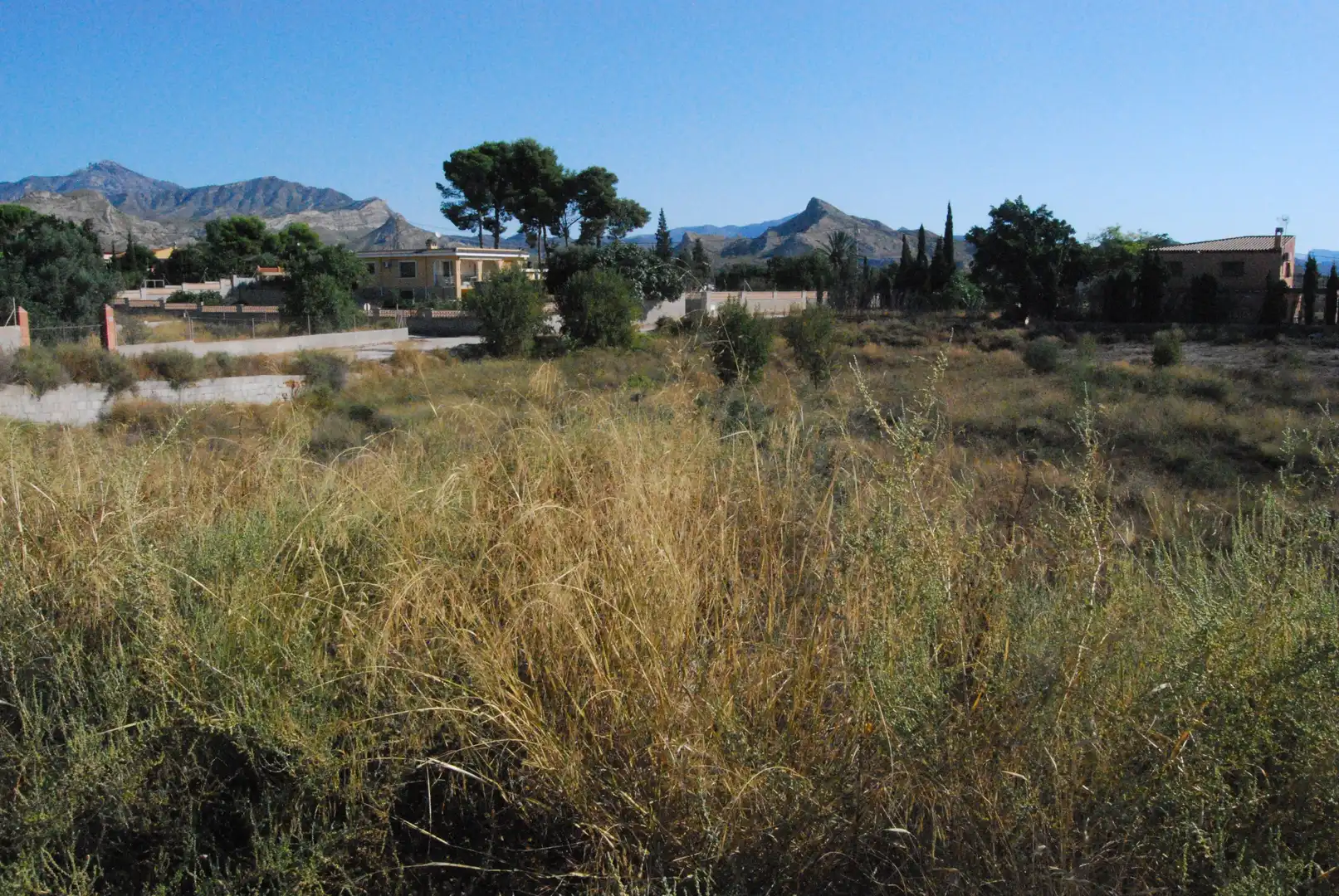 Terrain résidentiel à vendre à Agost, imagen 2