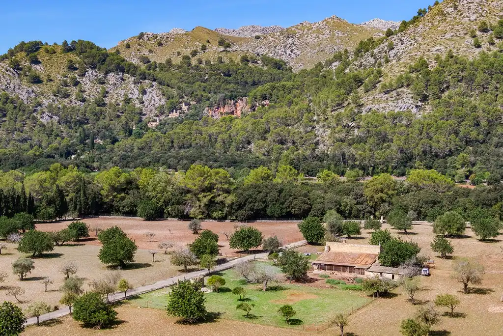 Jardín de Finca rústica en venta en Pollença con Jardín privado