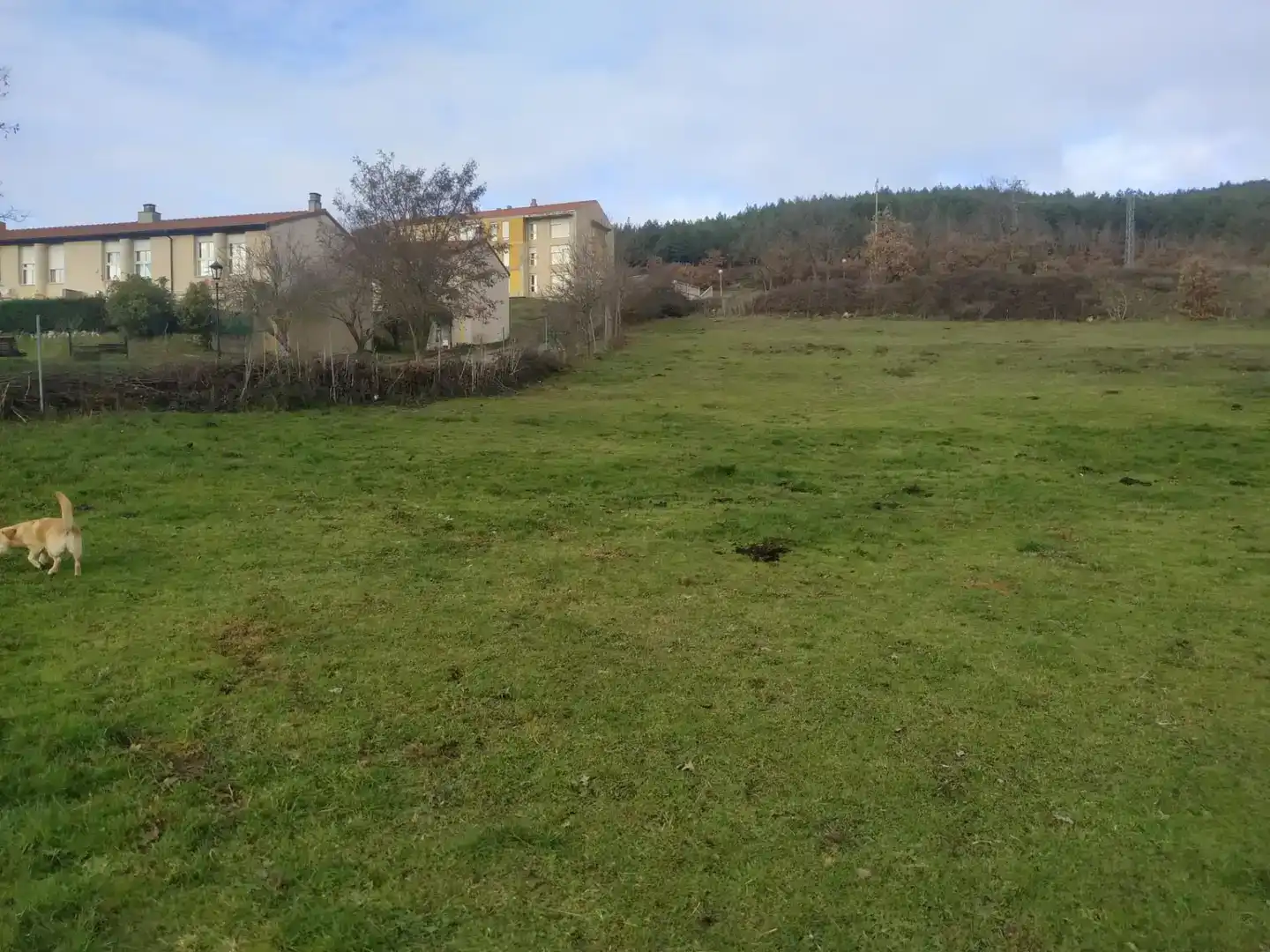 Land for sale in Valderredible