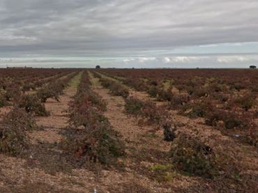 Terrenys i solars en venda a Villanueva de la Jara