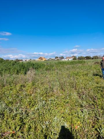 Terreno en Venta en Calle en Barrio Nuevo