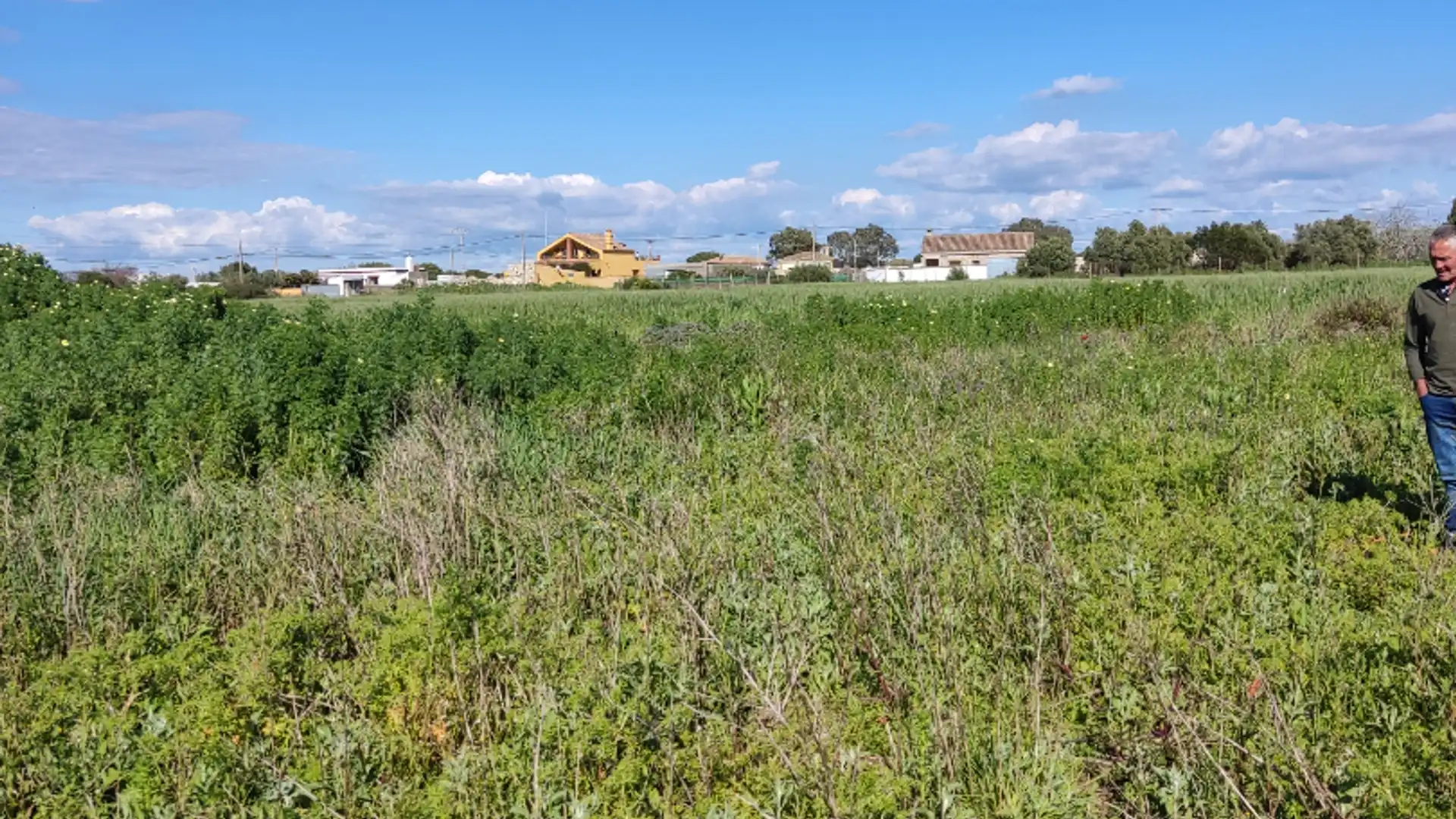 Terreno en venta en Conil de la Frontera