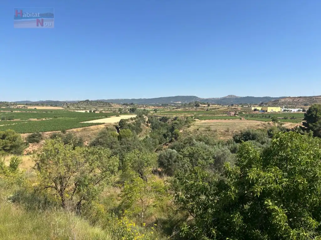 Country homes for sale in Carretera Cabra Del Camp Ua15, Sarral