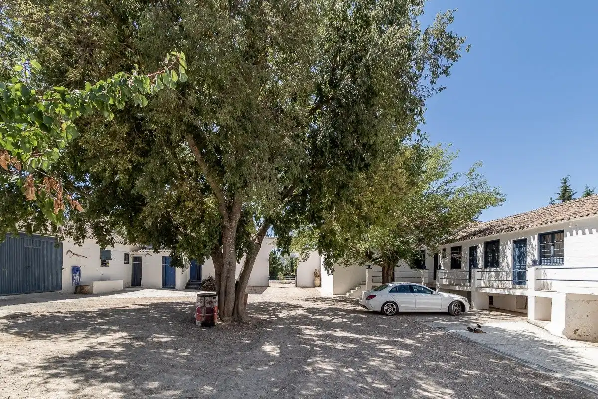 Vista exterior de Finca rústica en venta en Moclín con Piscina