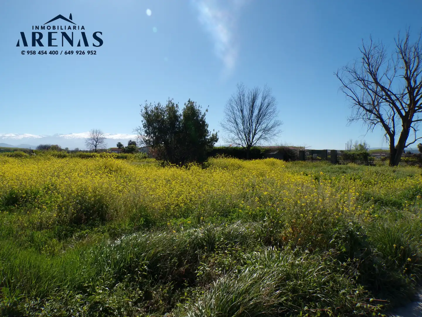 Terrains et parcelles à vendre à Calle Pedro Salinas, imagen 5