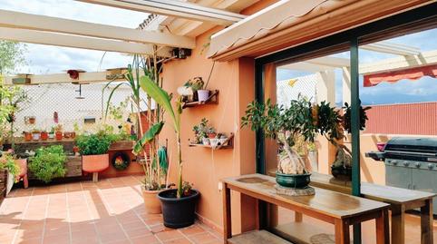Photo 5 of Attic for sale in San Pedro de Alcántara pueblo, Málaga
