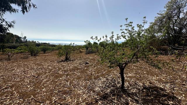 Finca rústica en Venta en Calle SALTO DEL PINO en La Esperanza - Llano del Moro