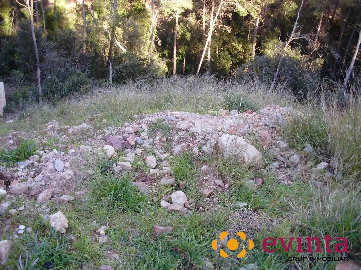 Lands and plots for sale in Vallirana, imagen 4
