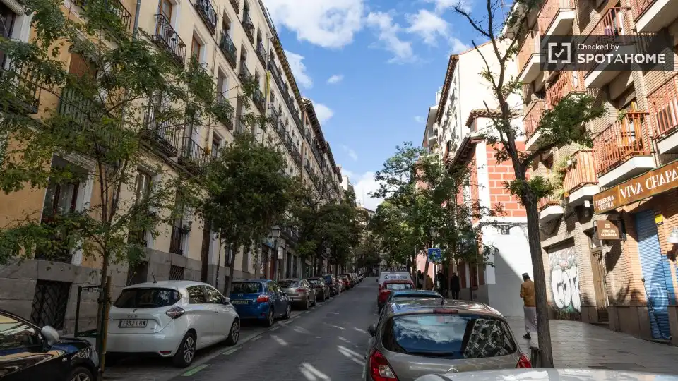 Room in Embajadores - Lavapiés