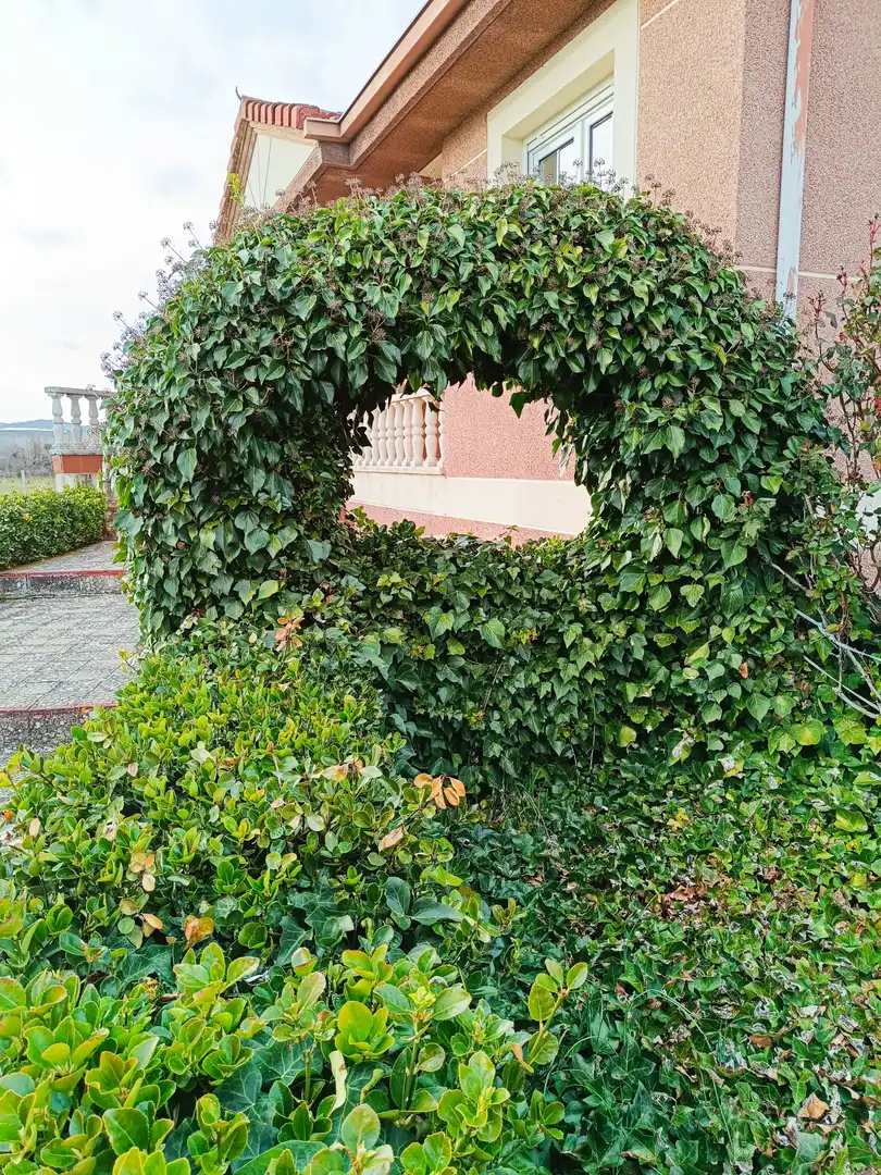 Jardí de Casa o xalet en venda en Aguilar de Campoo amb Calefacció i Terrassa