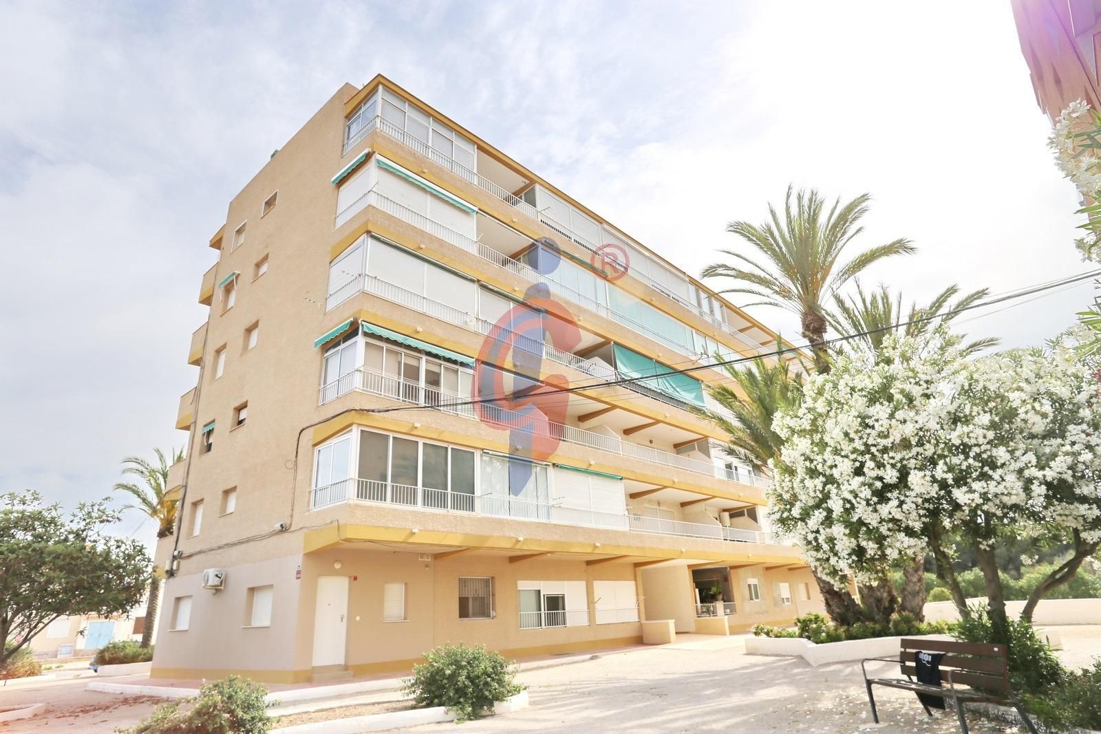 Vista exterior de Apartament en venda en Guardamar del Segura amb Terrassa i Balcó