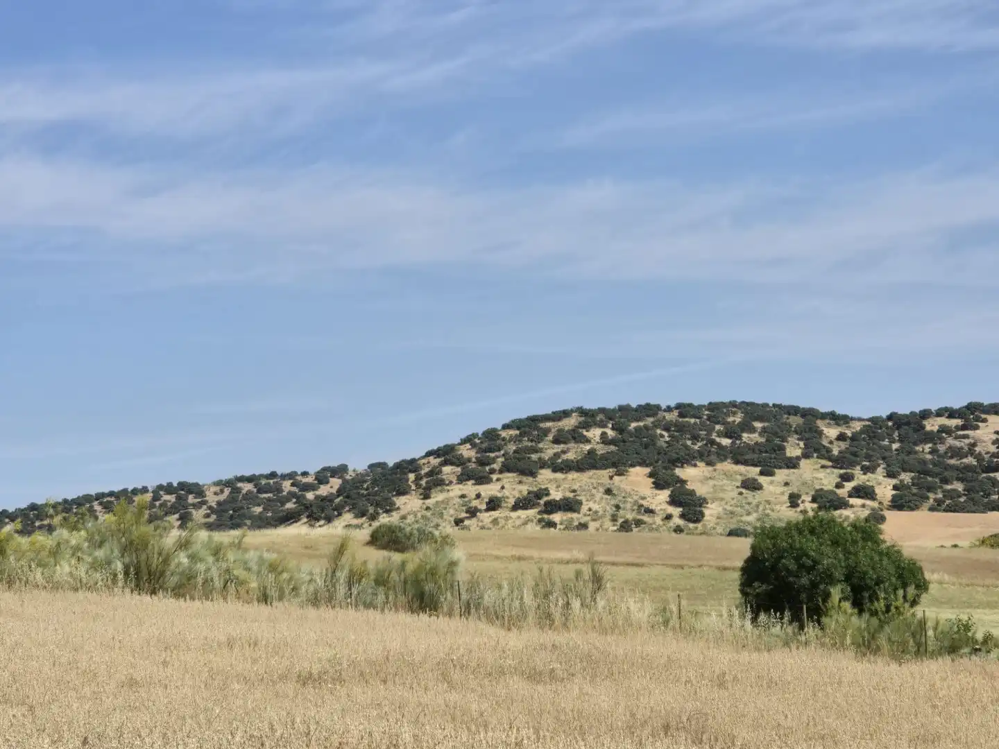 Rural land for sale in Quijorna, imagen 3