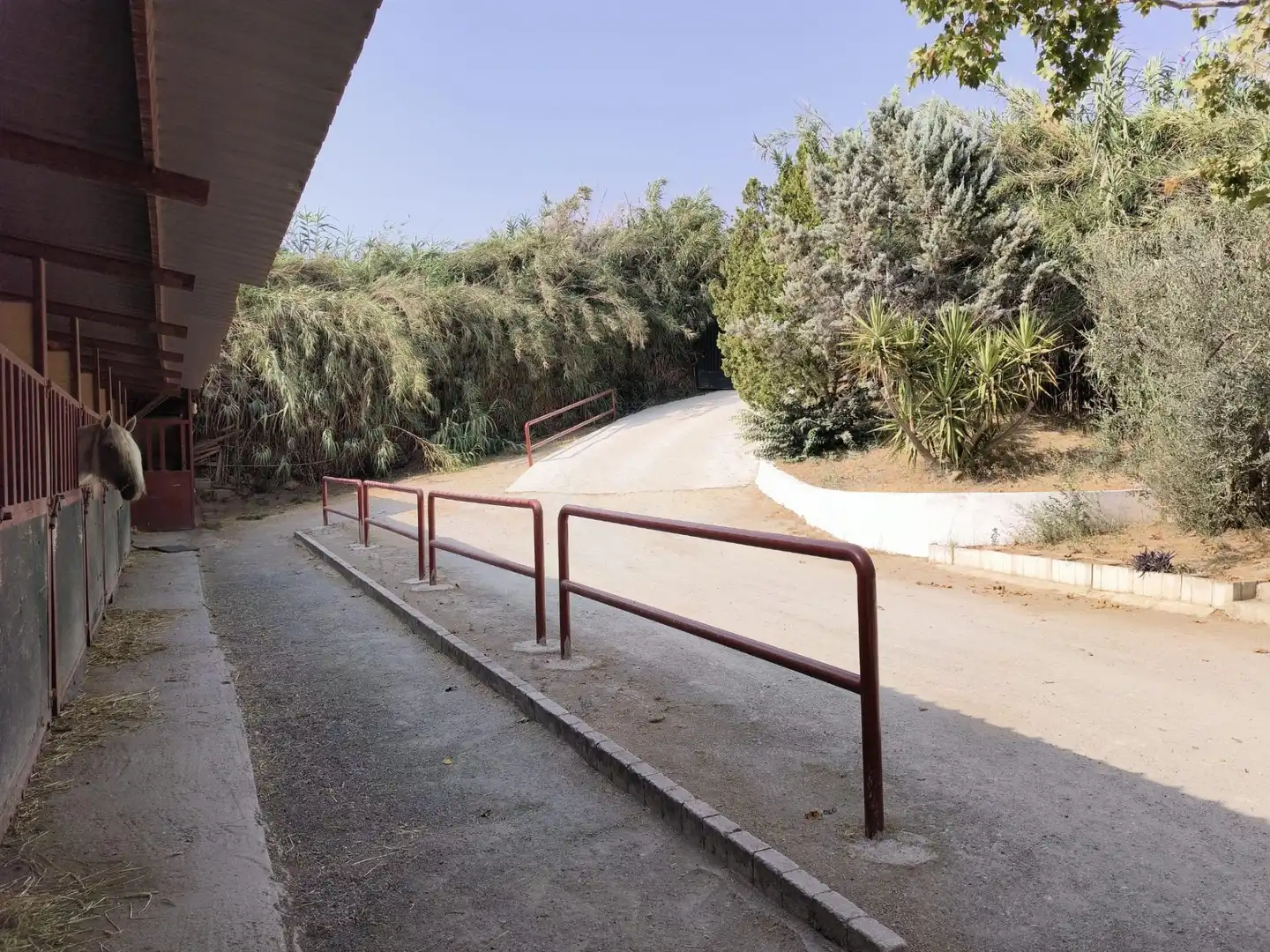 Casa rustica con giardino in vendita a La Zubia Ciudad, imagen 6
