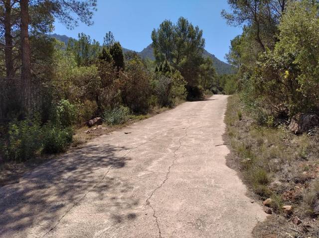 Terreno en Venta en Vilafamés