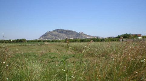 Foto 5 de Terreno en venta en Plg. el Marenyet , El Marenyet, Cullera