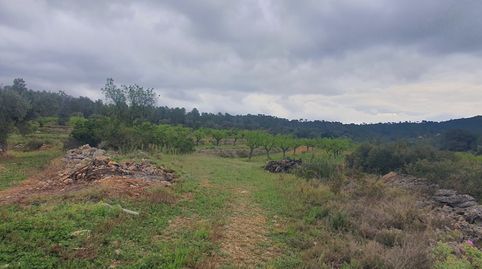 Suelo agrícola en venta en El Pinell de Brai, immagine 5