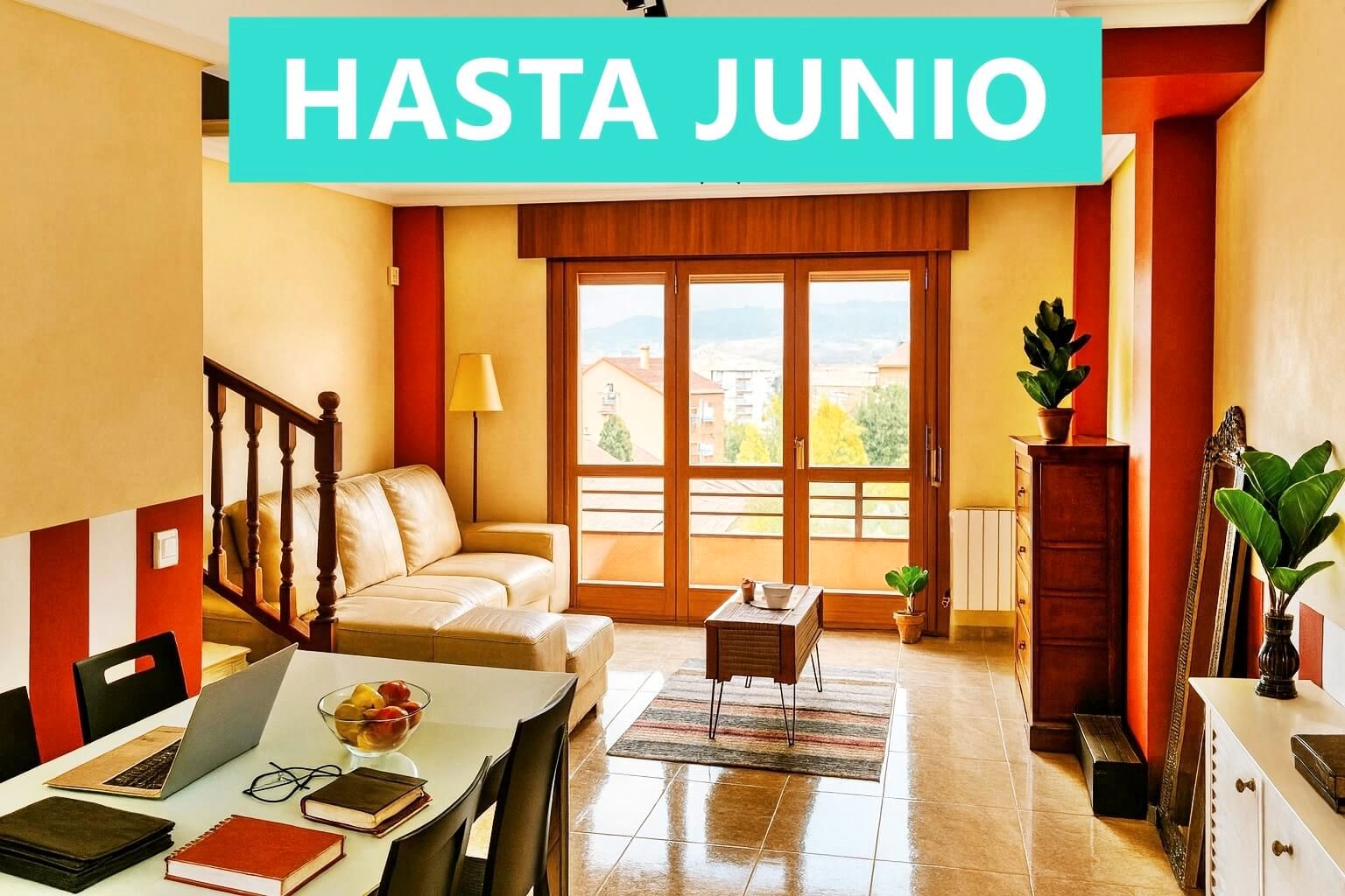Living room of Flat to rent in Voto  with Heating, Terrace and Furnished