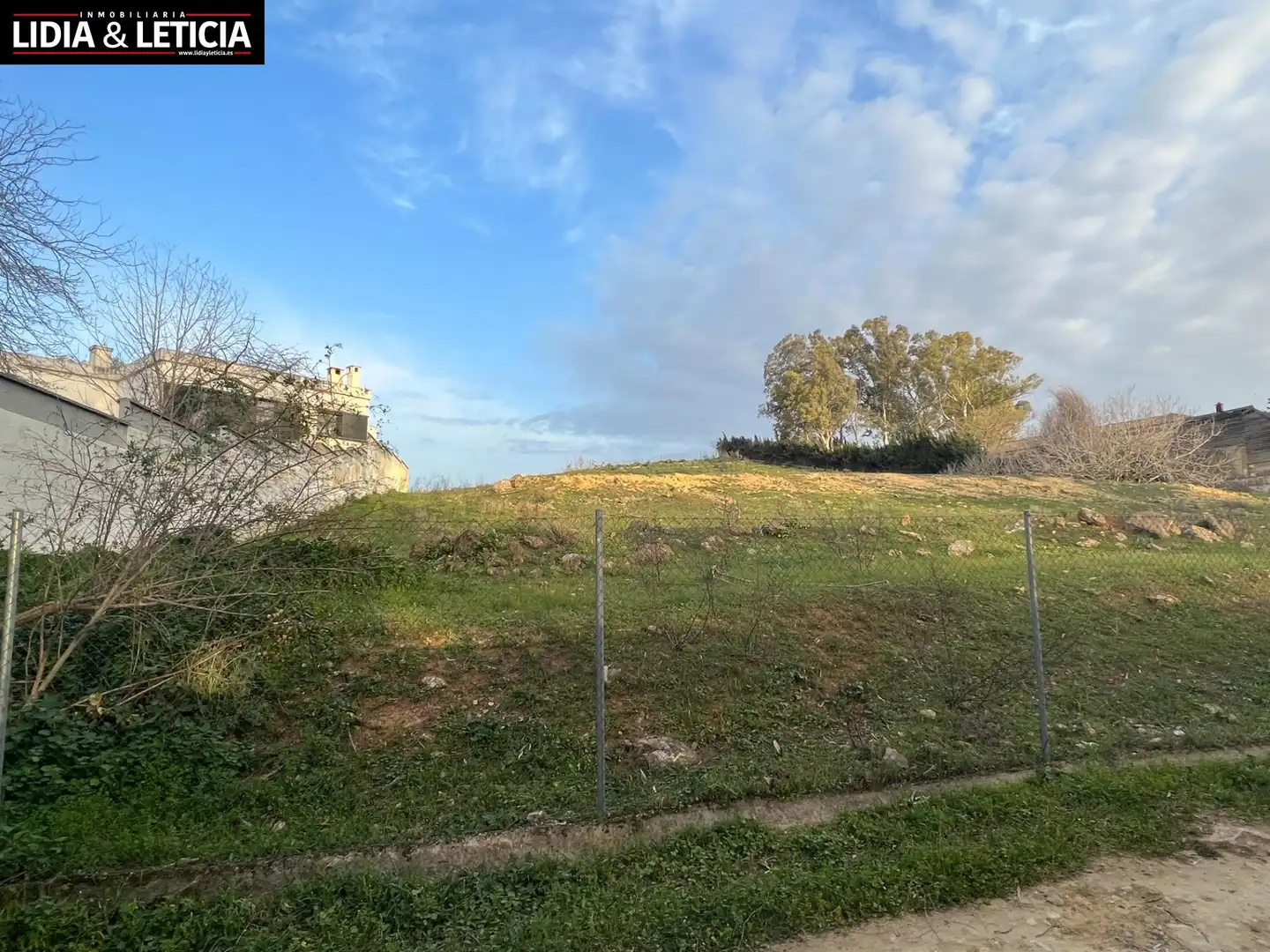 Rural land for sale in Nueva Alcalá, imagen 4
