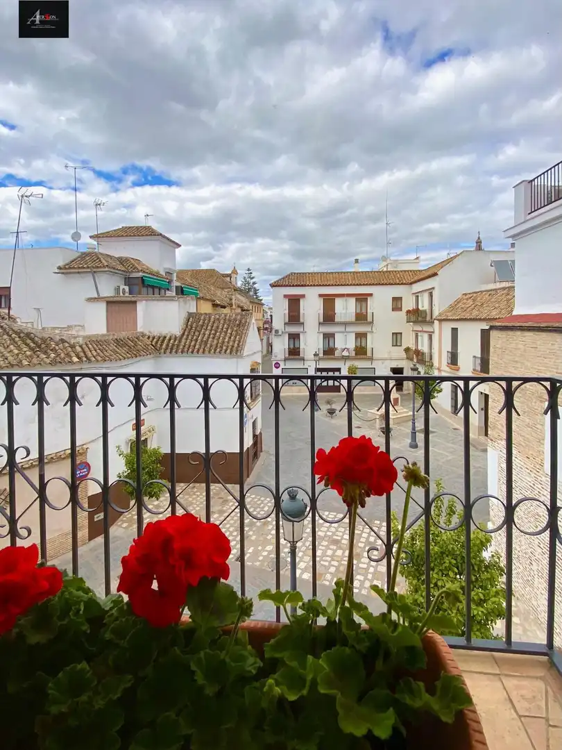 Exterior view of Duplexes for sale in Écija  with Air Conditioner, Terrace and Furnished