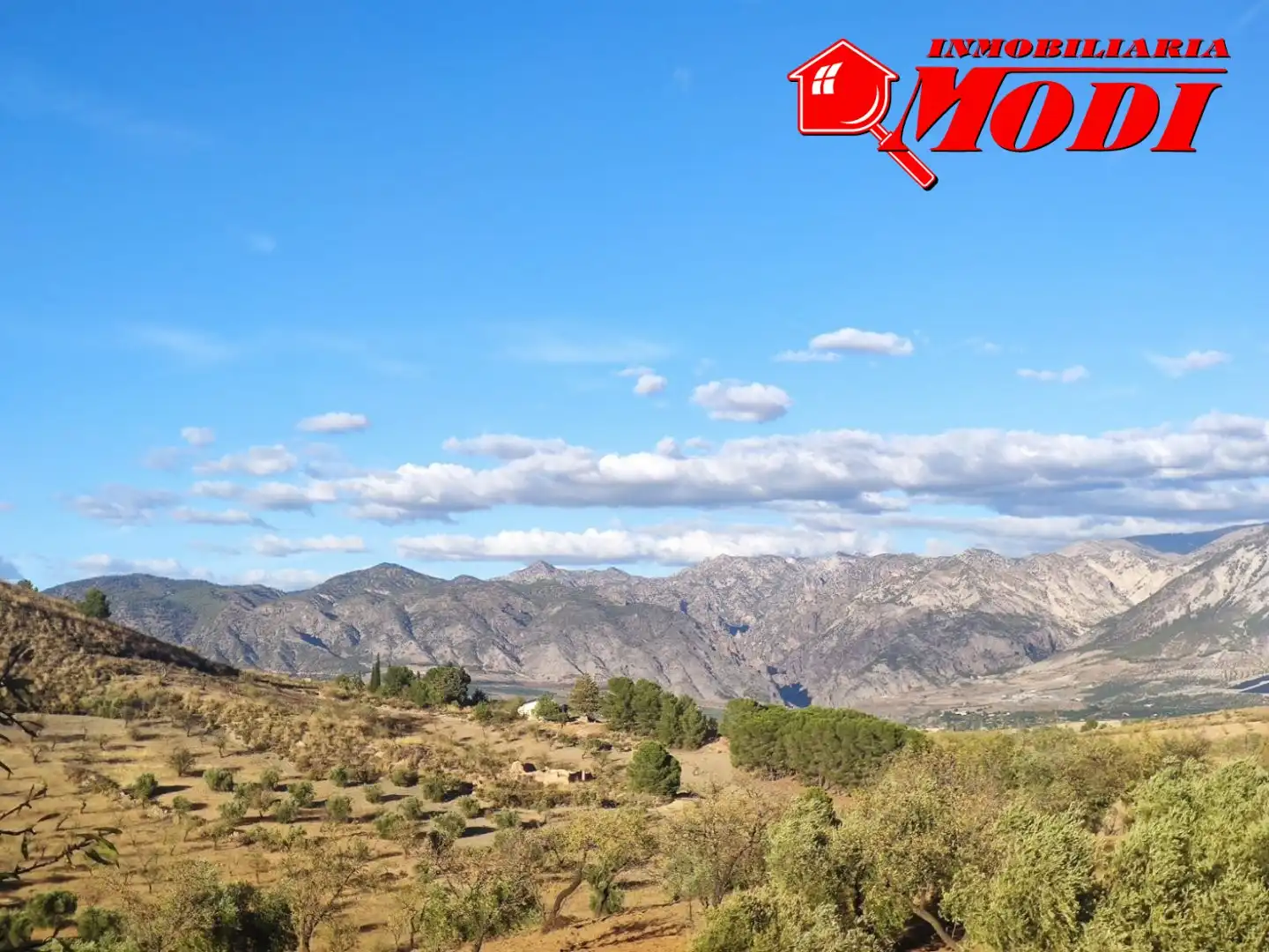 Finca rústica en venda en Villamena amb Jardí privat