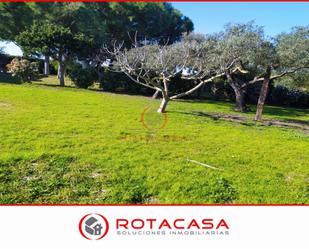 Country house for sale in Rota