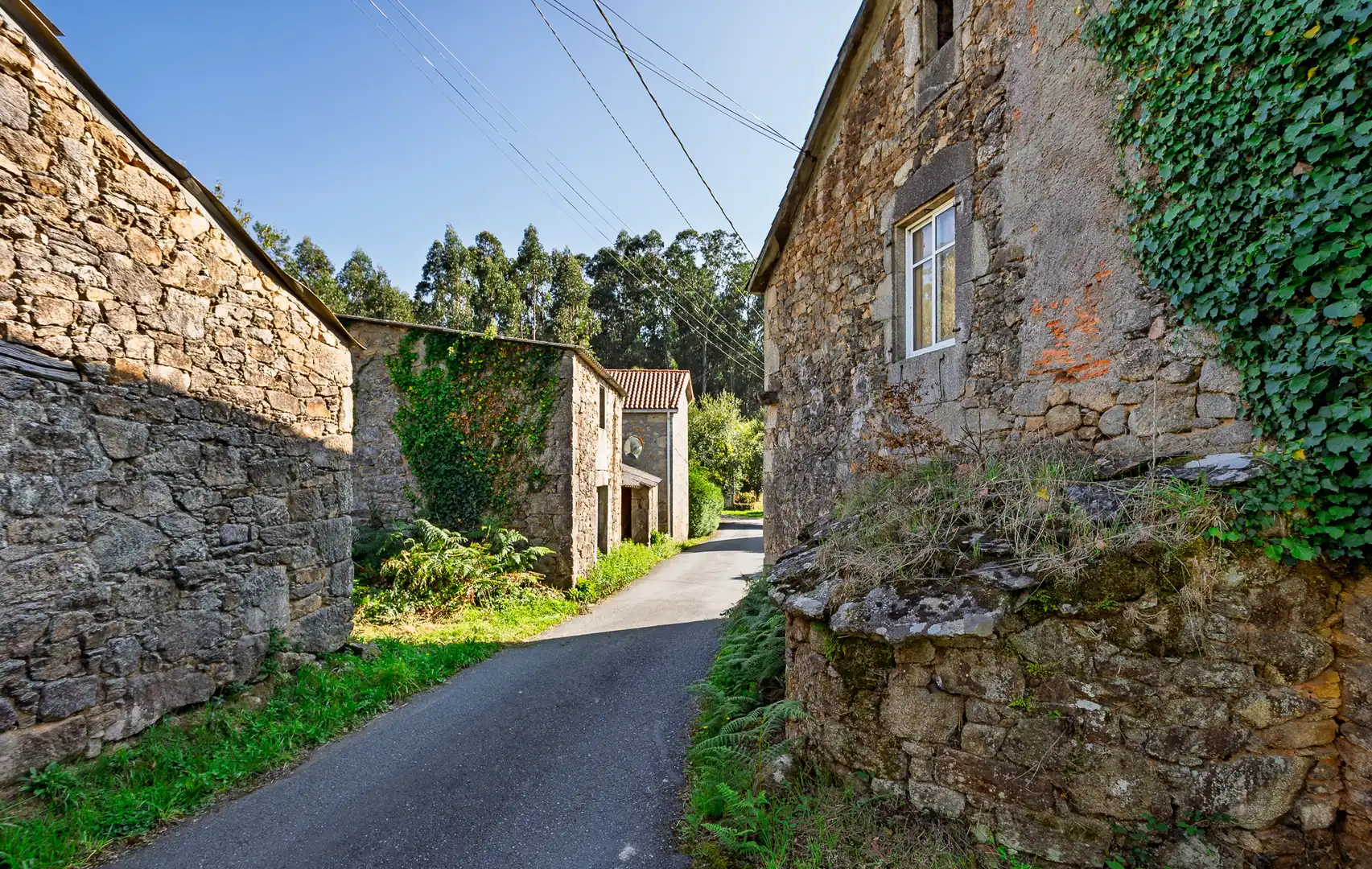 Exterior view of Country homes for sale in Vilarmaior