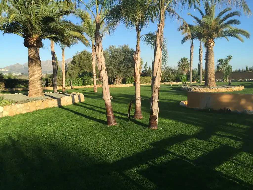 Villa avec terrasse à vendre à Centro, imagen 6