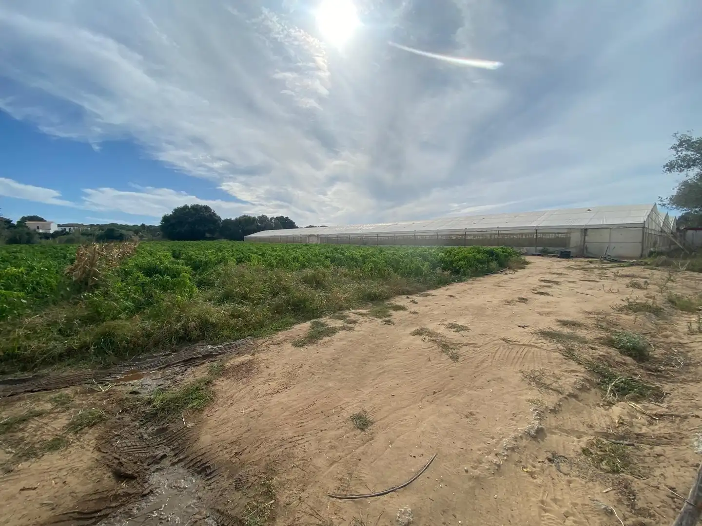 Terreno rustico in vendita a Barbate ciudad