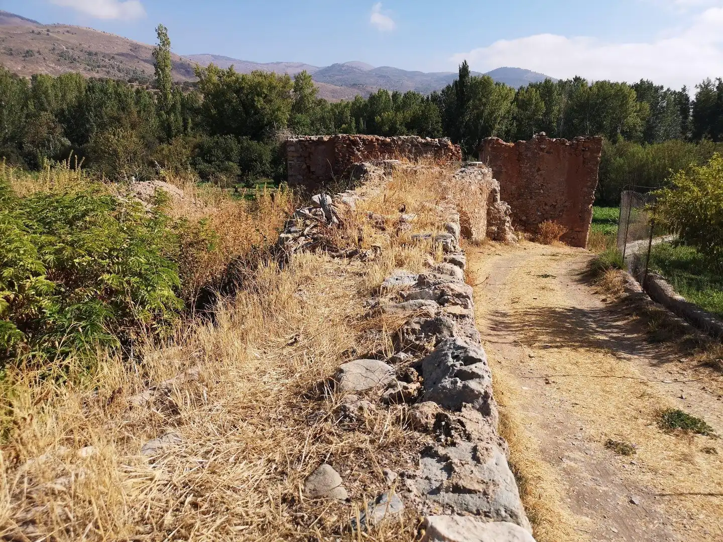 Terreny rústic en venda a PAGO ACEQUIA BAJA Polígono 11 Parcela 174 11, imagen 12