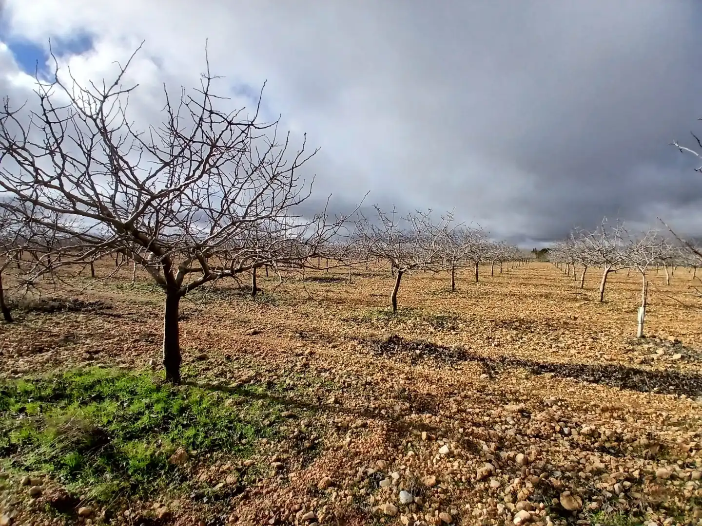 Rural land for sale in Carretera Solana, imagen 23