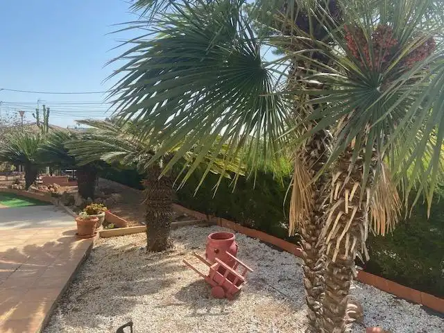 Jardín de Casa o chalet en venta en Chiva con Calefacción, Jardín privado y Piscina