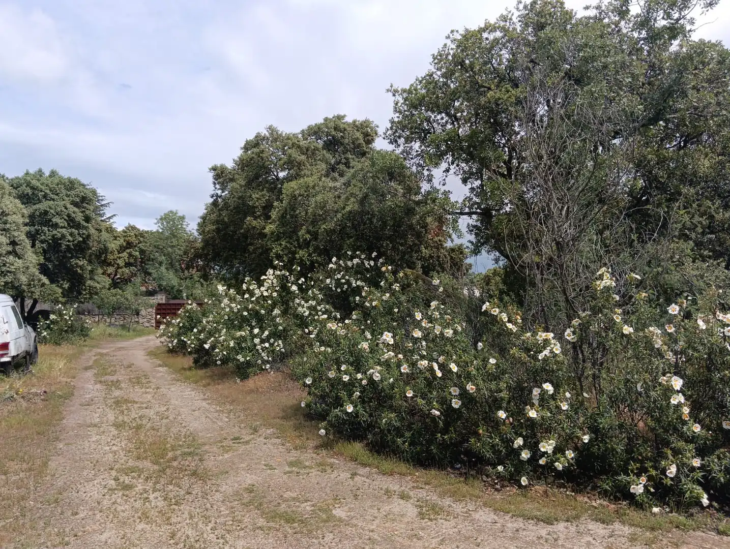 Jardí de Casa o xalet en venda en Valdemorillo