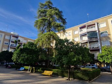 Pis amb ascensor en venda a Madre de Dios - Vallesequillo